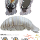 Illustration for article titled The Isopod Phone Case: For When You Want to Freak Out Everybody